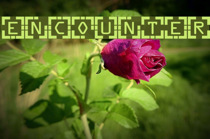 Encounter Font examples