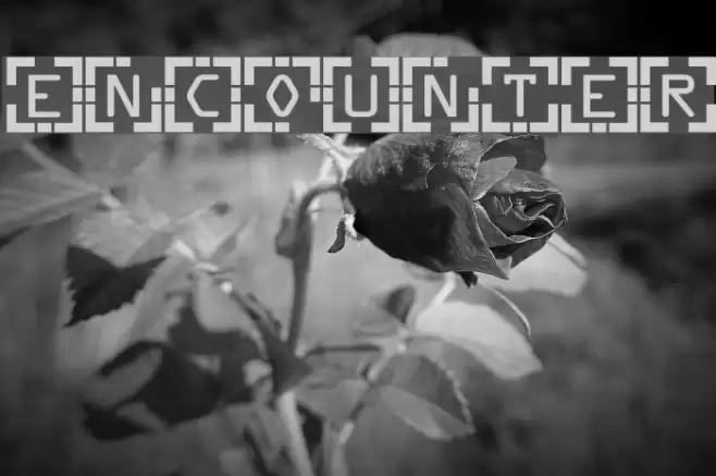 Encounter Polices examples