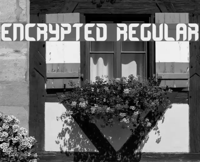 Encrypted Regular Font examples