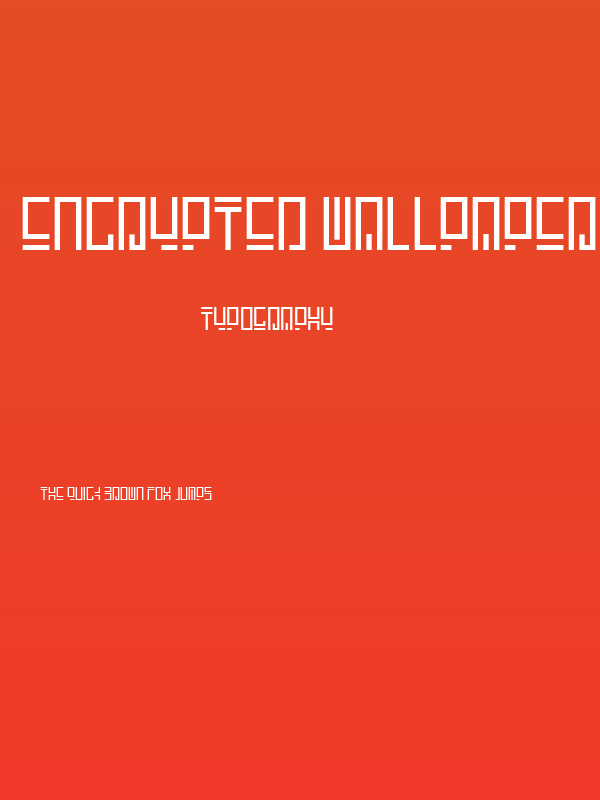 Encrypted Wallpaper Poster