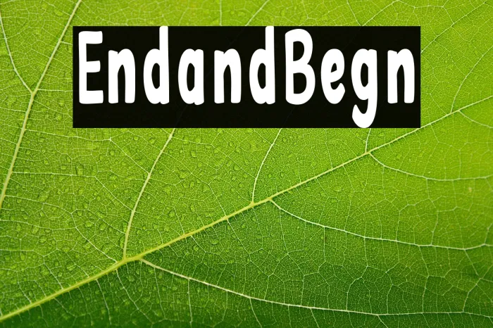 End and Begin Example 2