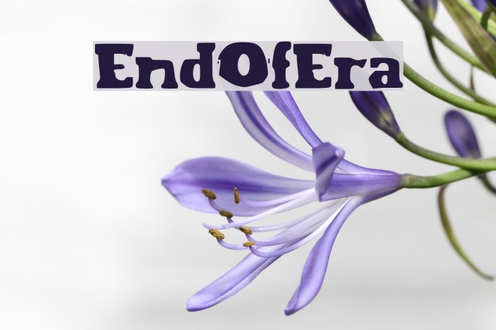 EndOfEra Example 1