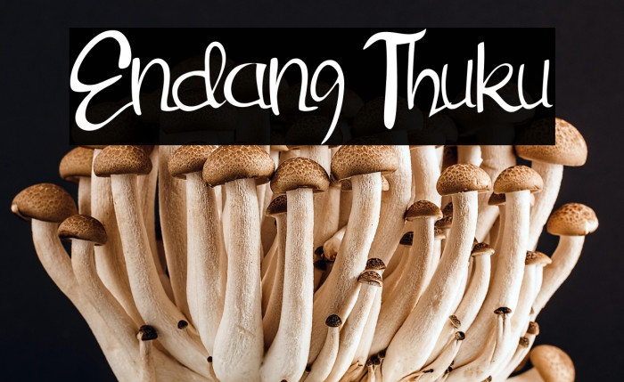 Endang Thuku Example 1