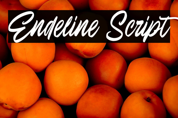 Endeline Script Example 3