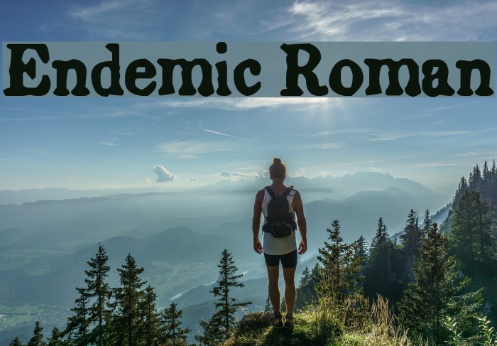 Endemic Roman Font examples