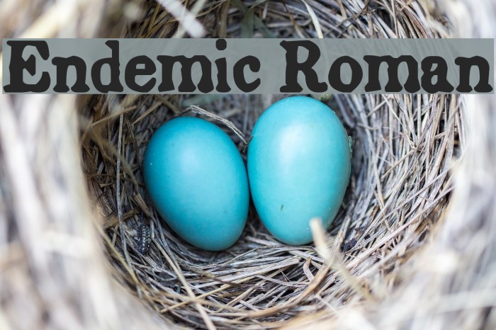 Endemic Roman Font examples
