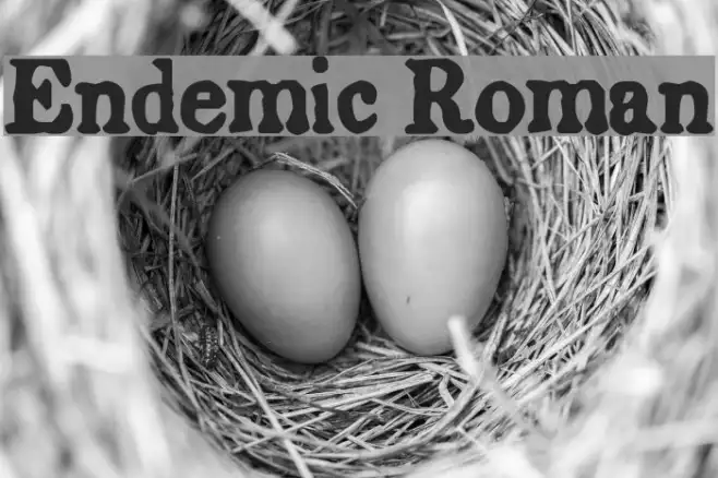 Endemic Roman Example 2