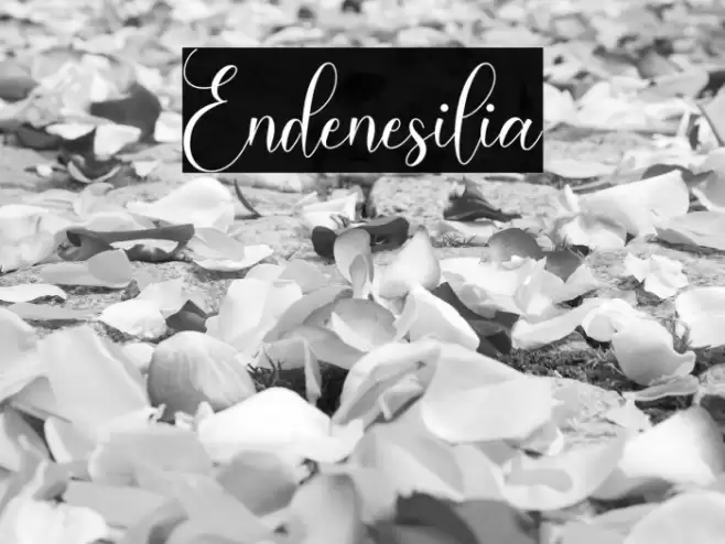 Endenesilia Font examples