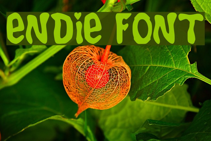 Endie Font examples