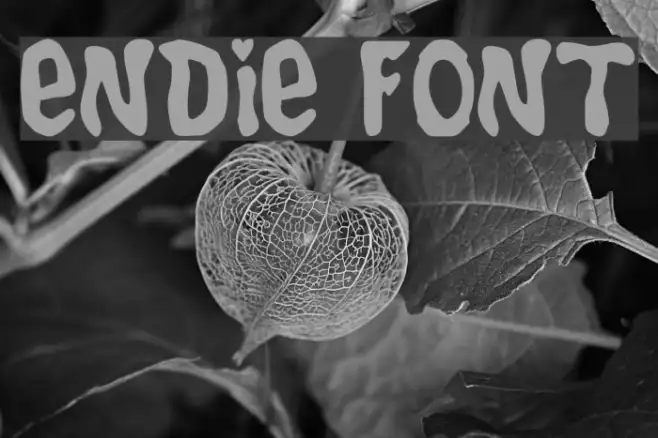 Endie Example 1