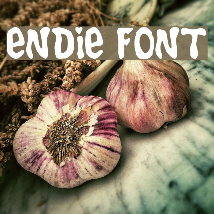 Endie Font examples
