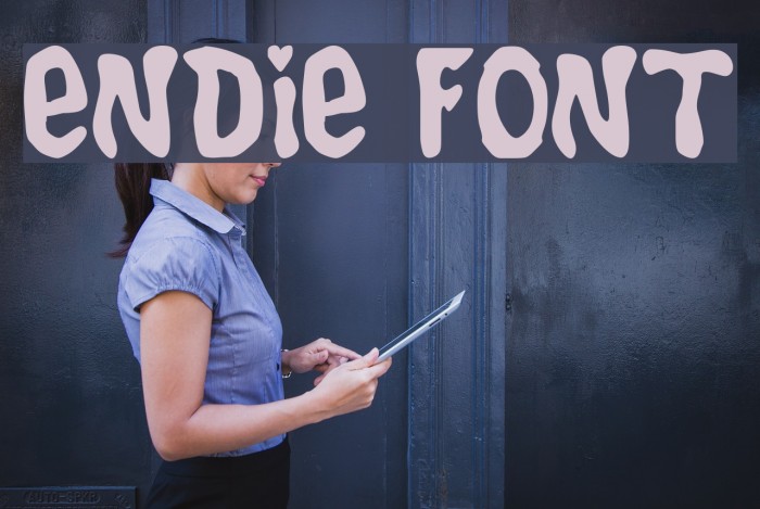 Endie Font examples