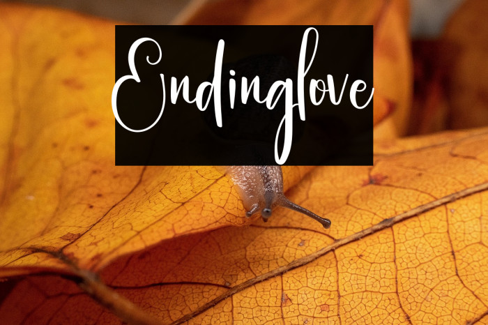 Endinglove Example 2