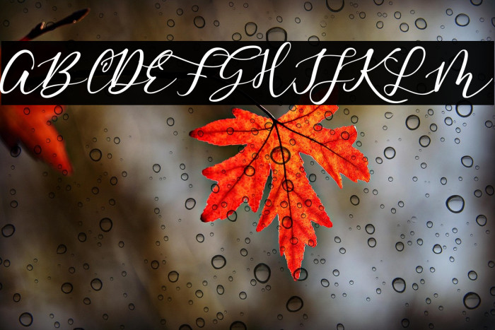 EnditaDEMO-Regular Example 2