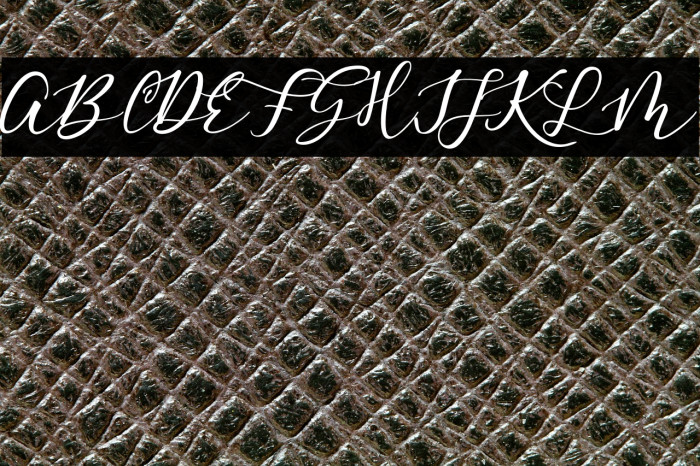 EnditaDEMO-Regular Example 1