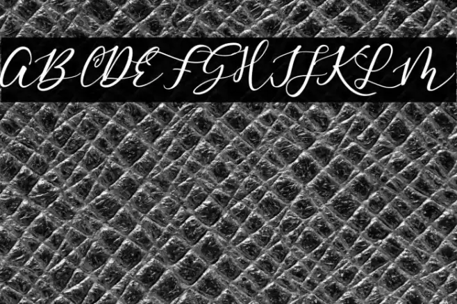 EnditaDEMO-Regular Font examples