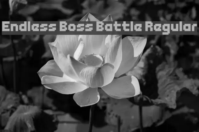 Endless Boss Battle Regular Font examples