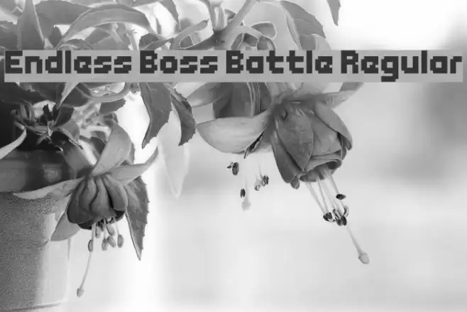 Endless Boss Battle Regular Font examples