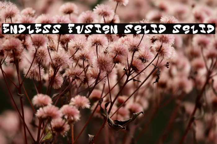 Endless Fusion Solid Solid Example 3