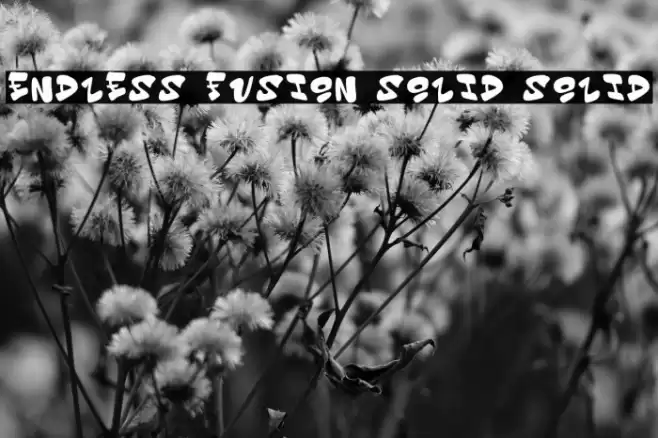 Endless Fusion Solid Solid 字体 examples