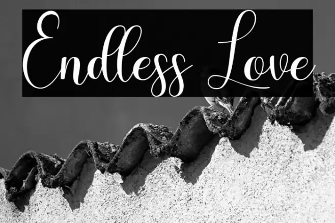 Endless Love Font examples