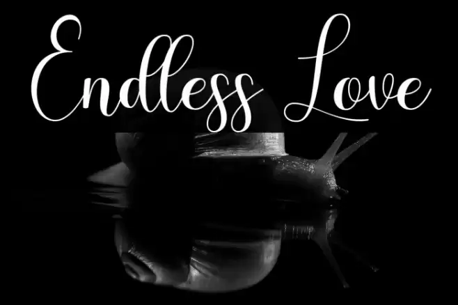 Endless Love Font examples