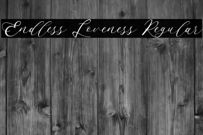 Endless Loveness Regular Font examples