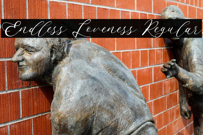 Endless Loveness Regular Example 3