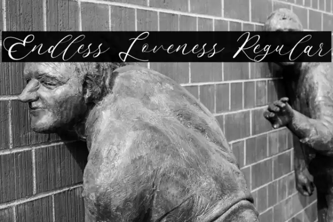 Endless Loveness Regular Font examples