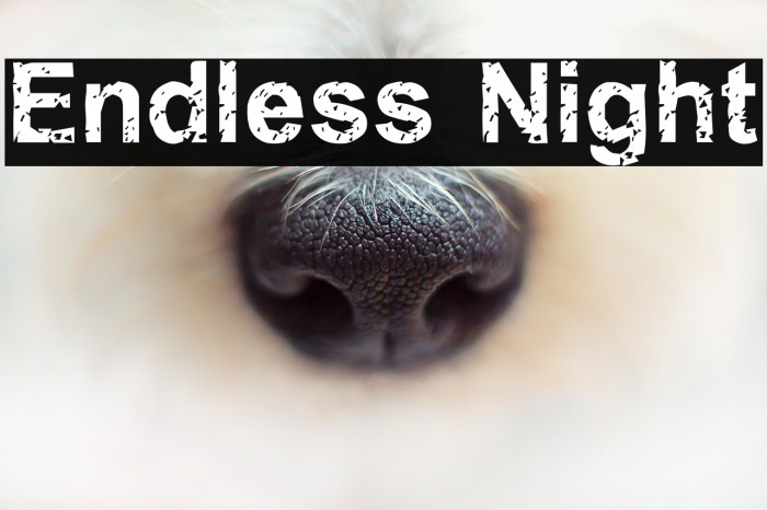 Endless Night Example 1