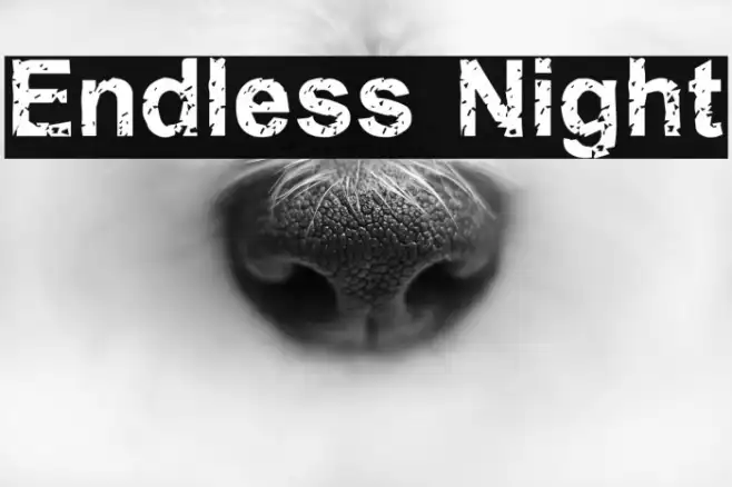 Endless Night Example 1