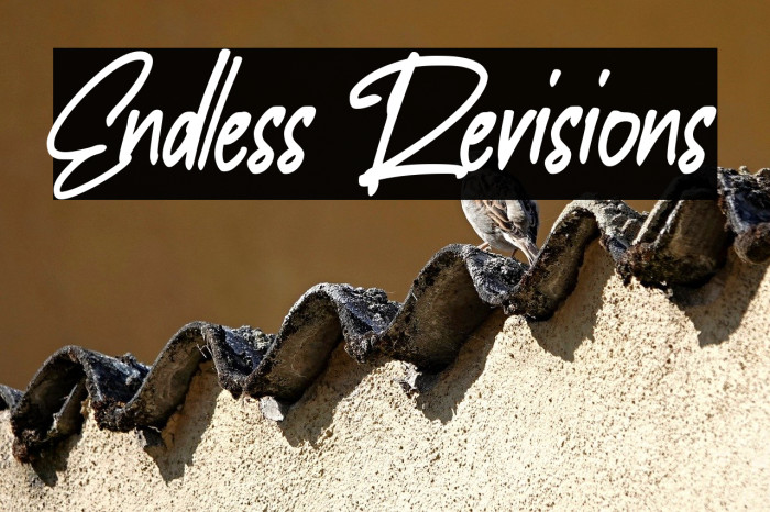 Endless Revisions Example 2