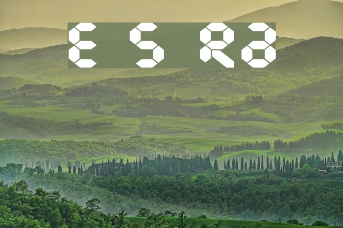Endless Showroom Regular Font examples