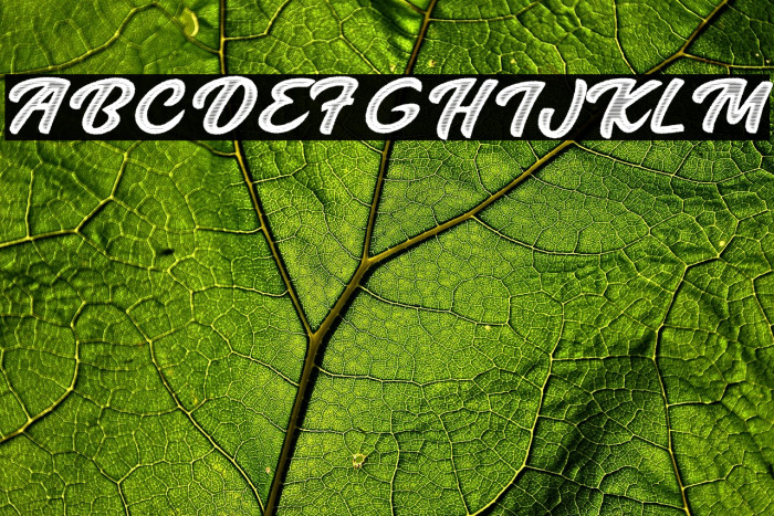 Endless Summer Personal Use Regular Example 1