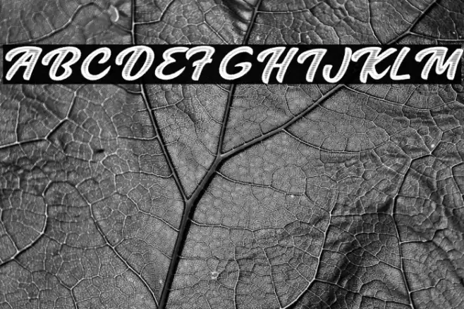 Endless Summer Personal Use Regular Font examples