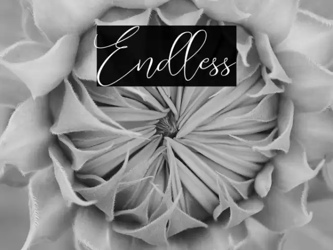 Endless Font examples