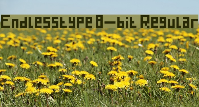 Endlesstype 8-bit Regular Font examples