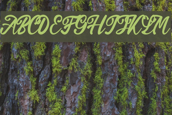 Endolitta Font examples
