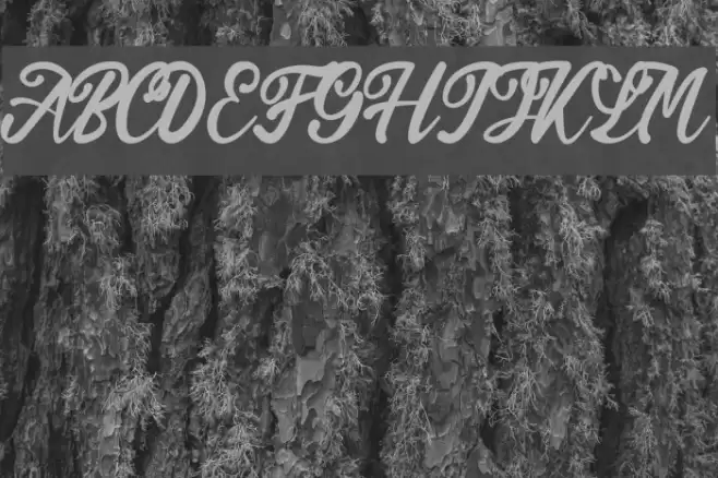 Endolitta Font examples