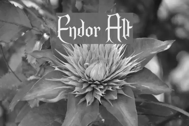 Endor Alt Fuentes examples