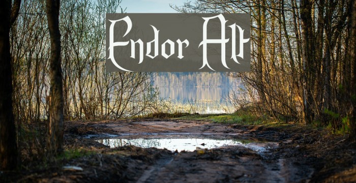 Endor Alt Шрифта examples