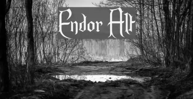 Endor Alt Fuentes examples