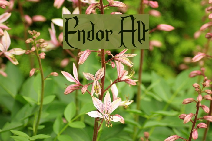 Endor Alt Шрифта examples