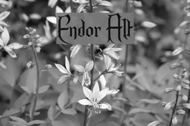 Endor Alt Fuentes examples
