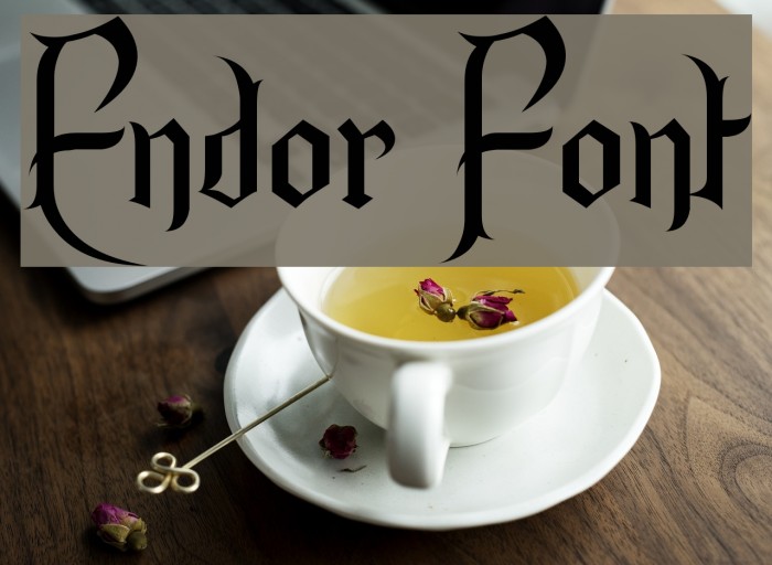 Endor Font examples