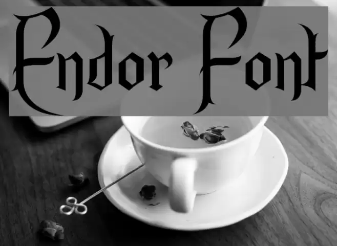 Endor Fuentes examples