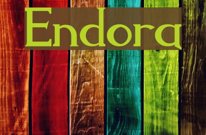 Endora Font examples