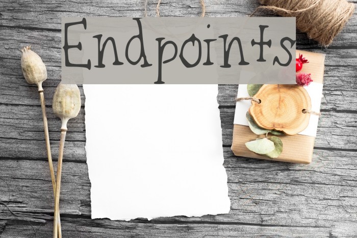Endpoints Font examples