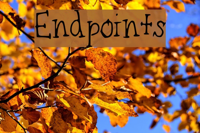 Endpoints Font examples