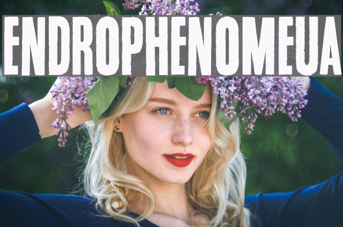 Endrophenomeua Font examples